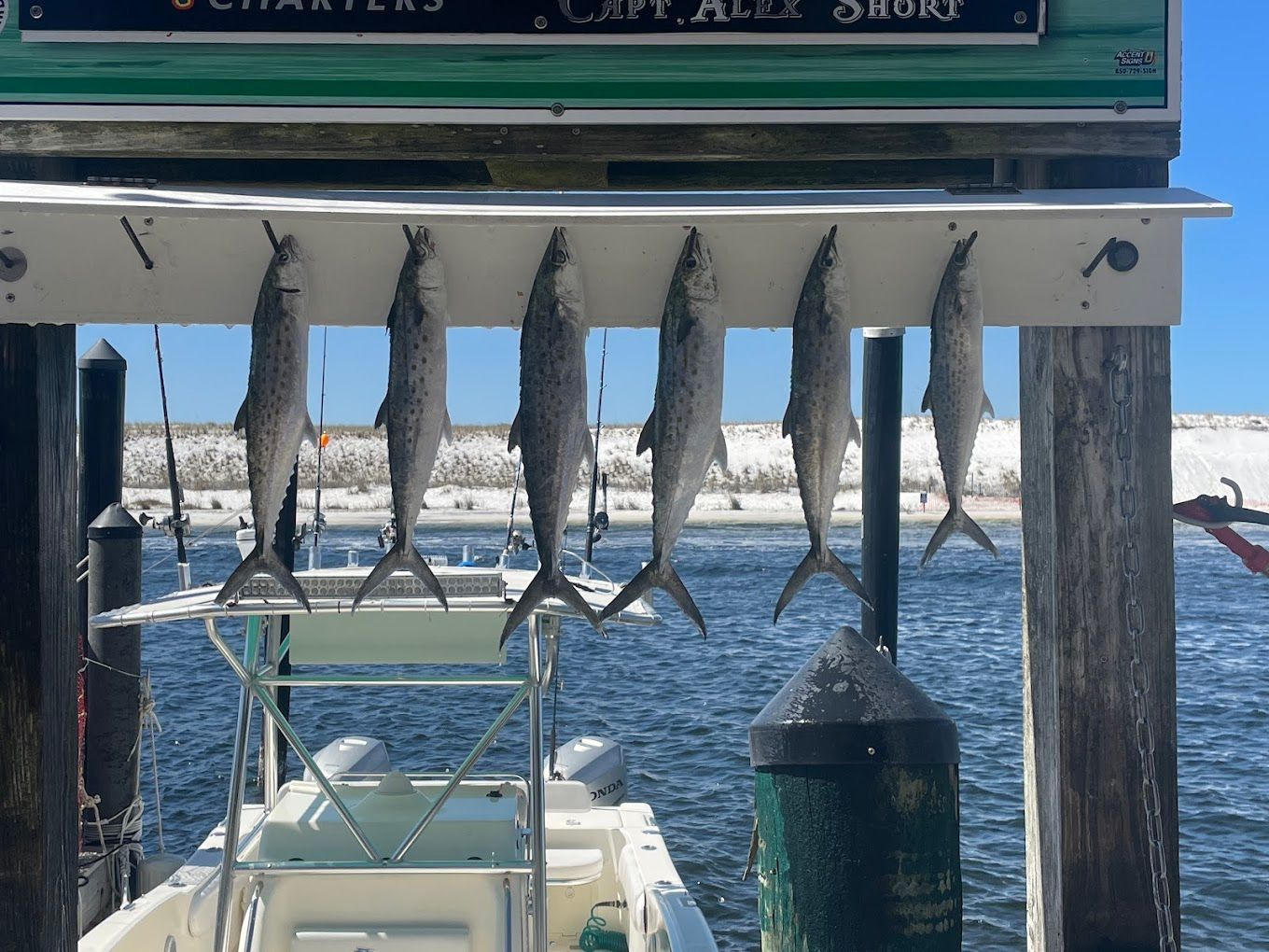 A boat is docked at a dock with fish hanging from a rack.