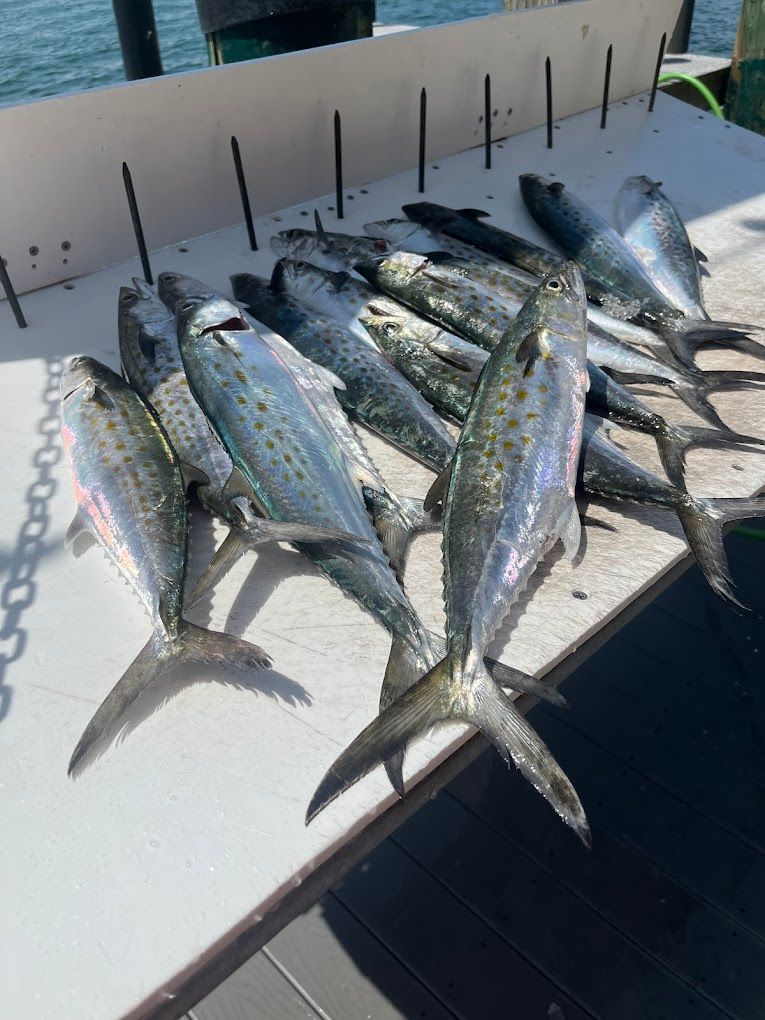 A bunch of fish are sitting on top of a table.