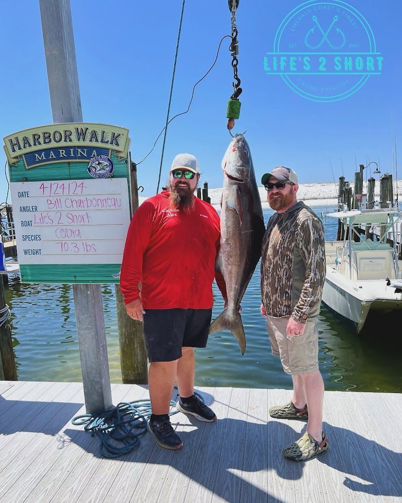 Two men are standing on a dock holding a large fish.