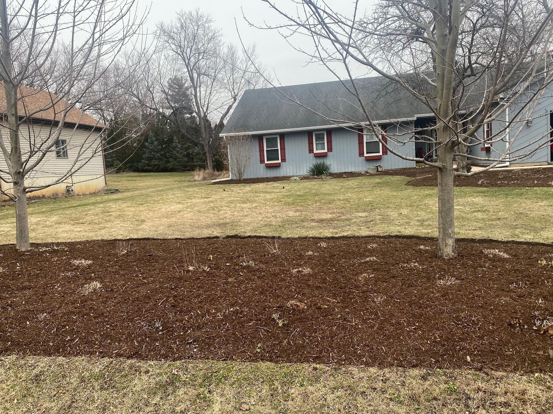 A house with a lot of mulch in front of it.
