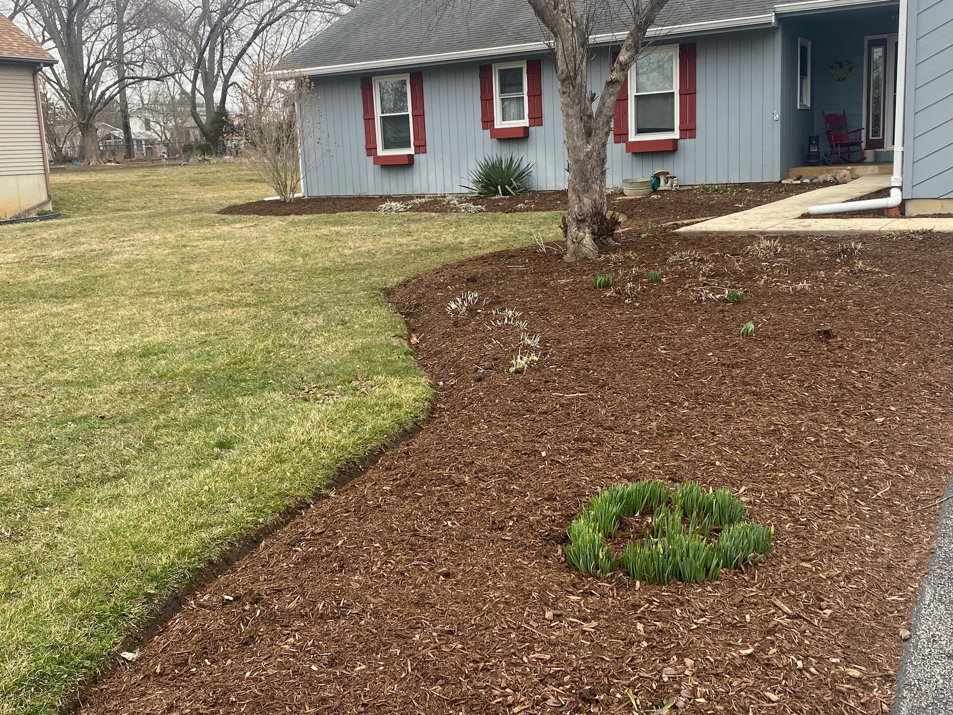 A house with a lot of mulch in front of it.