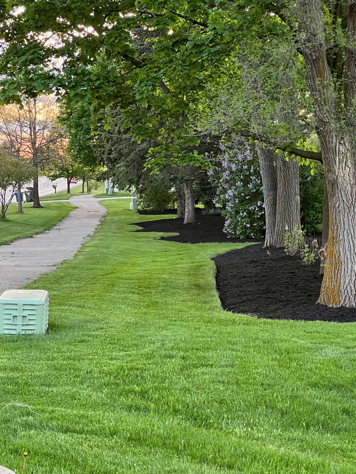 A lush green park with trees and a path.