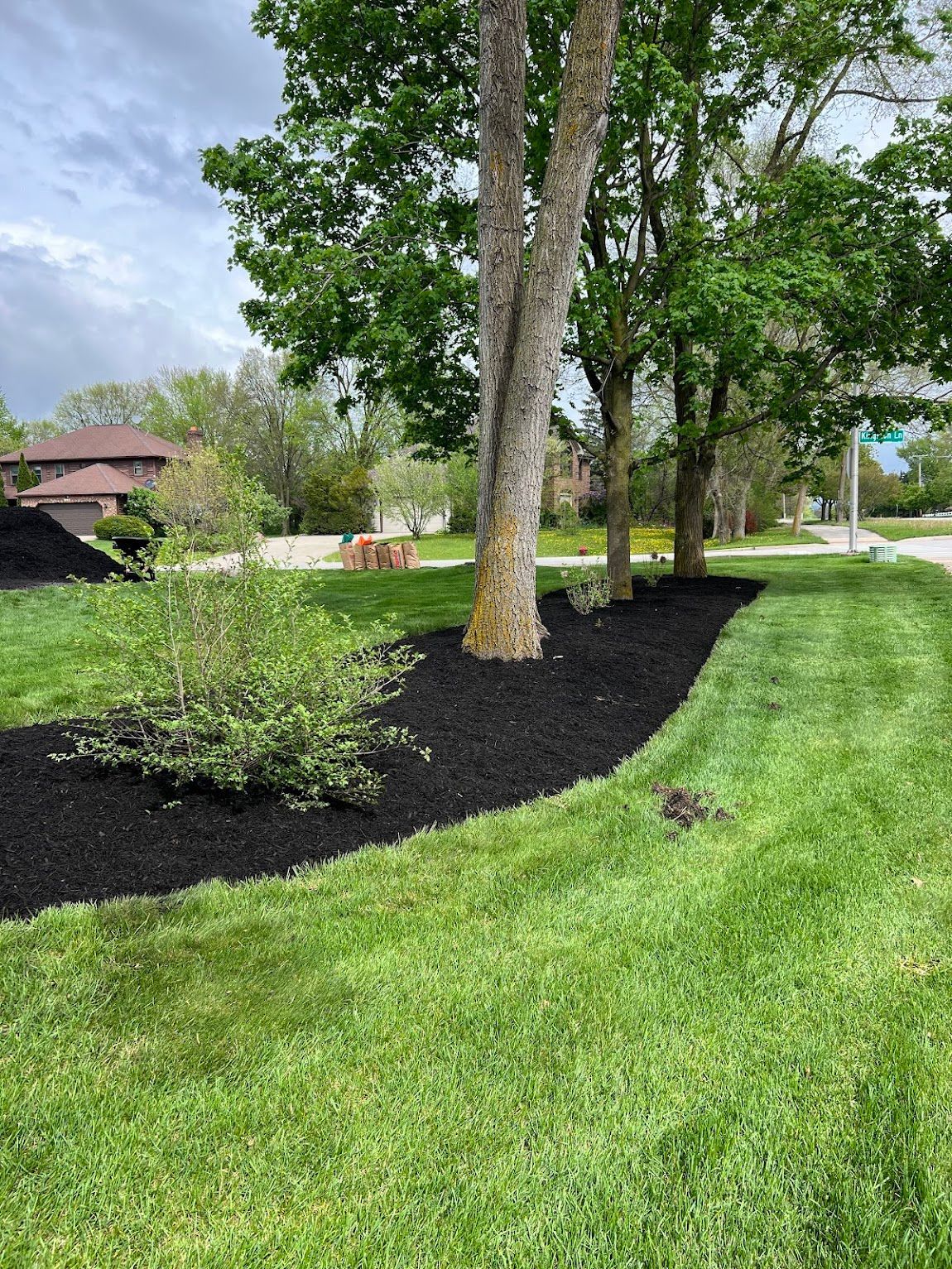 A lush green lawn with black mulch and trees in the background.