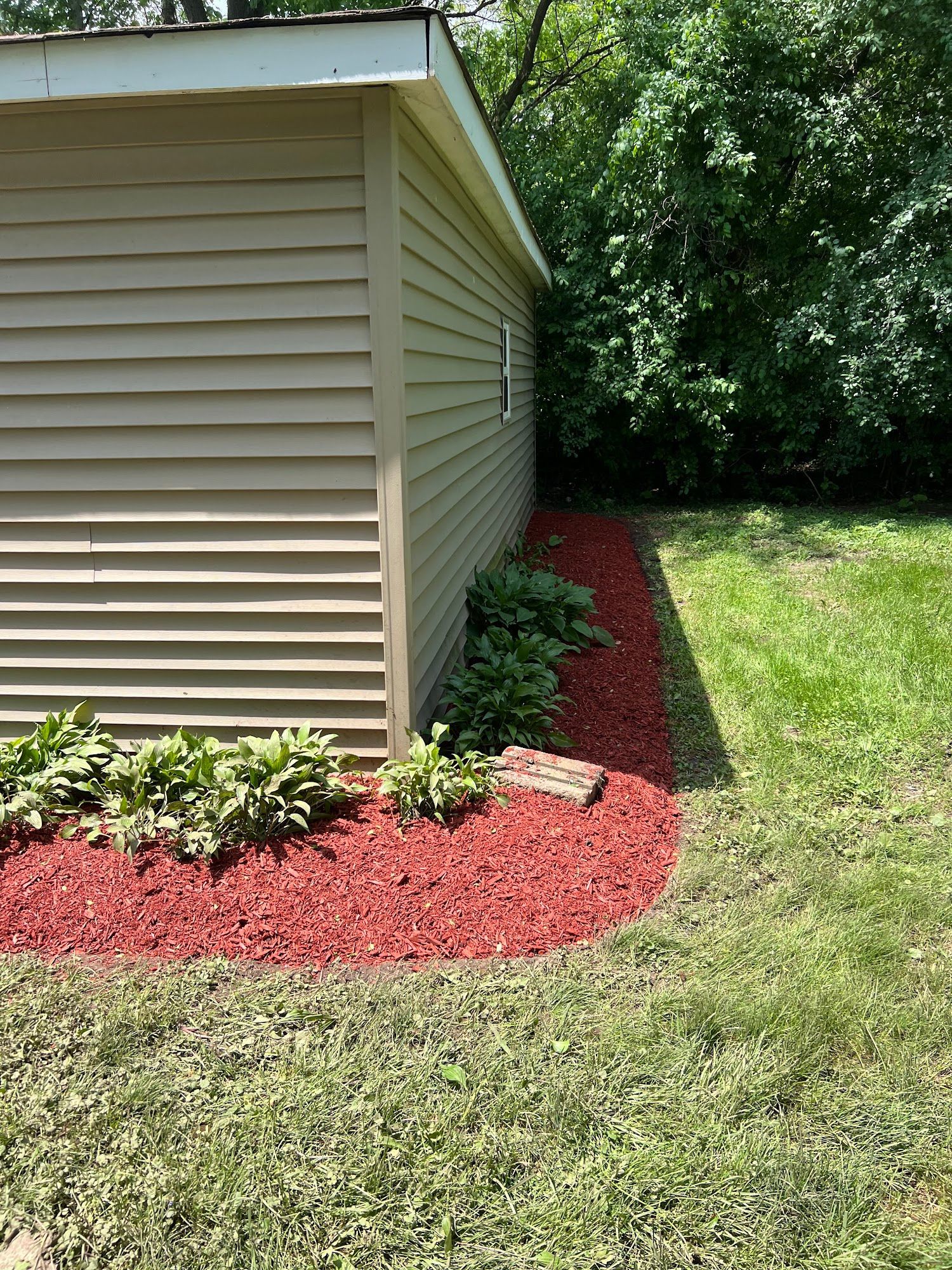 There is a shed in the backyard with red mulch in front of it.