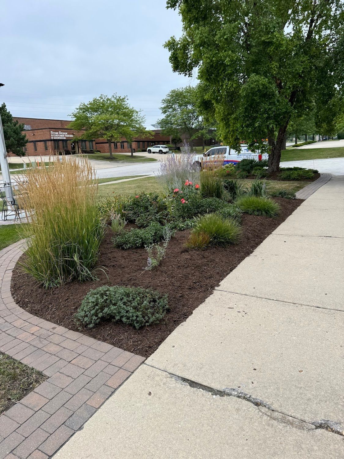 A sidewalk leading to a lush green garden with a tree in the background.