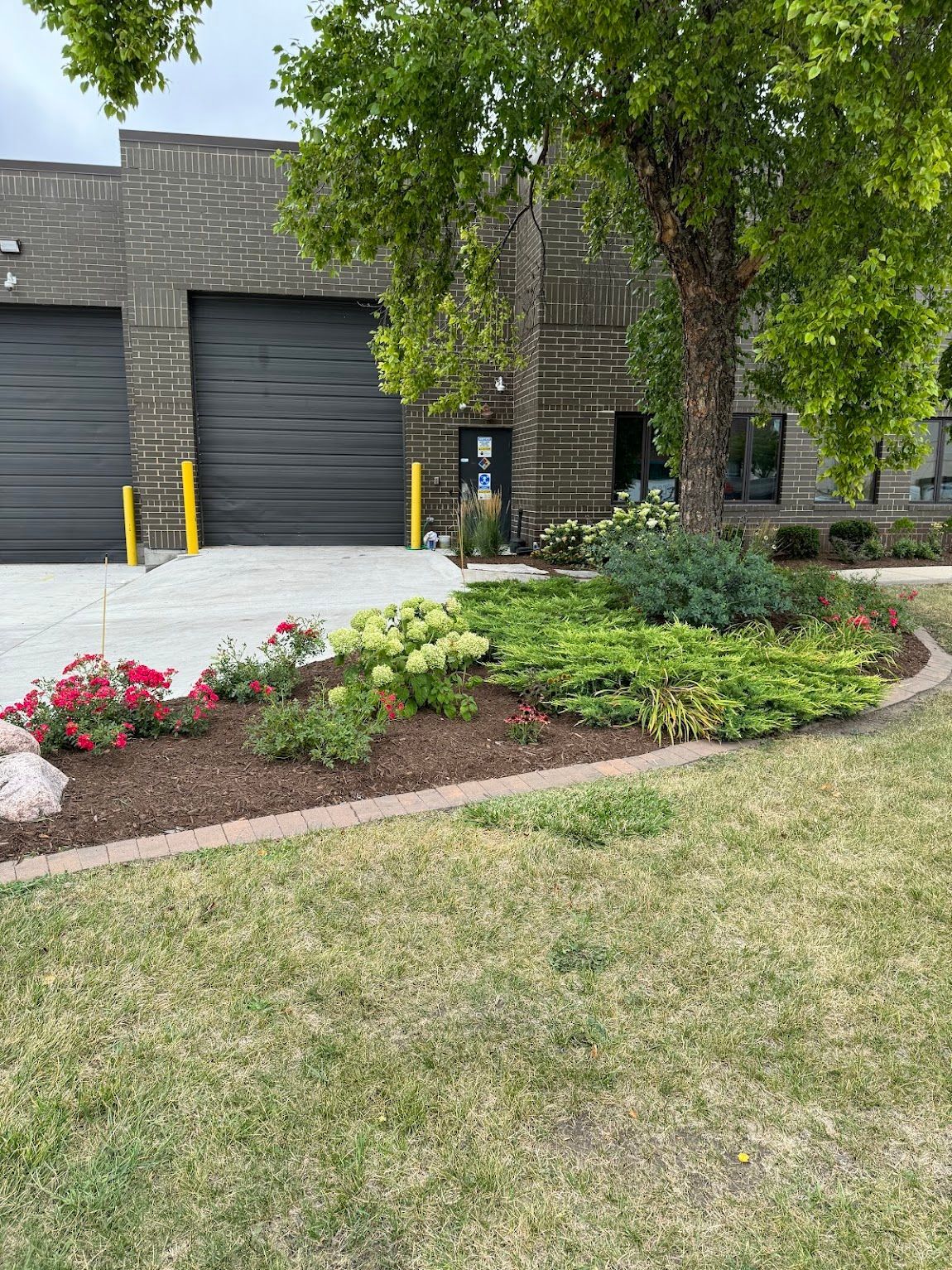 A large building with a lot of flowers in front of it.