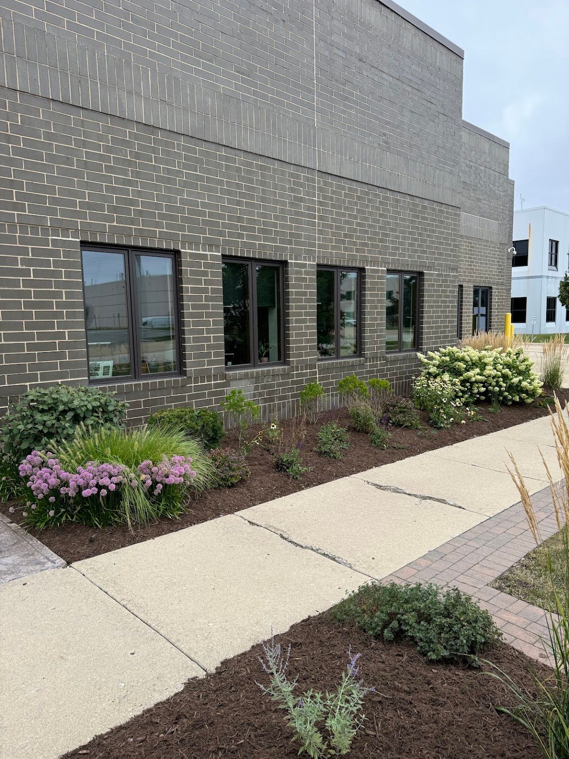 A building with a lot of windows and flowers in front of it.