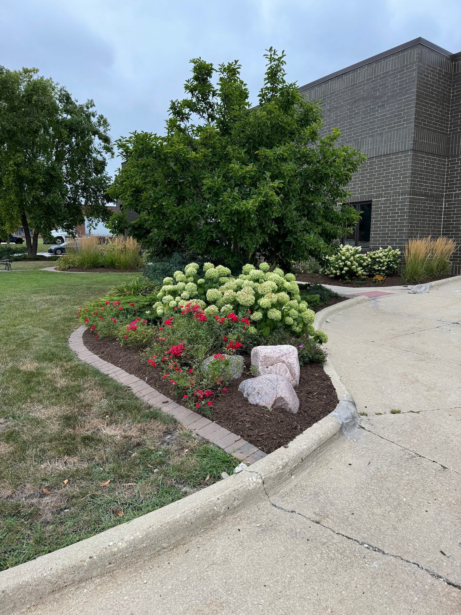 A garden with flowers and trees in front of a building.