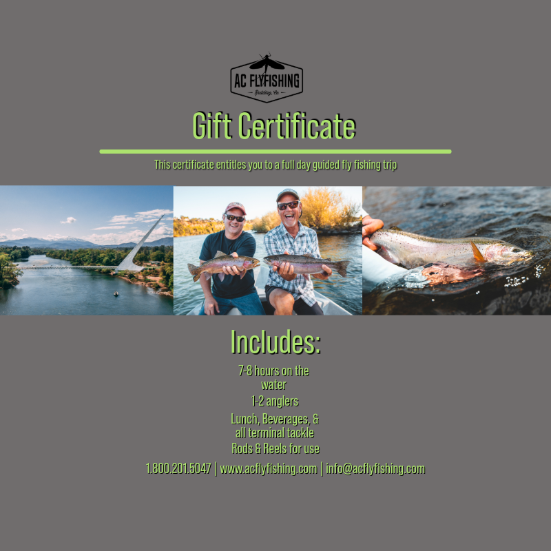Gift Certificate