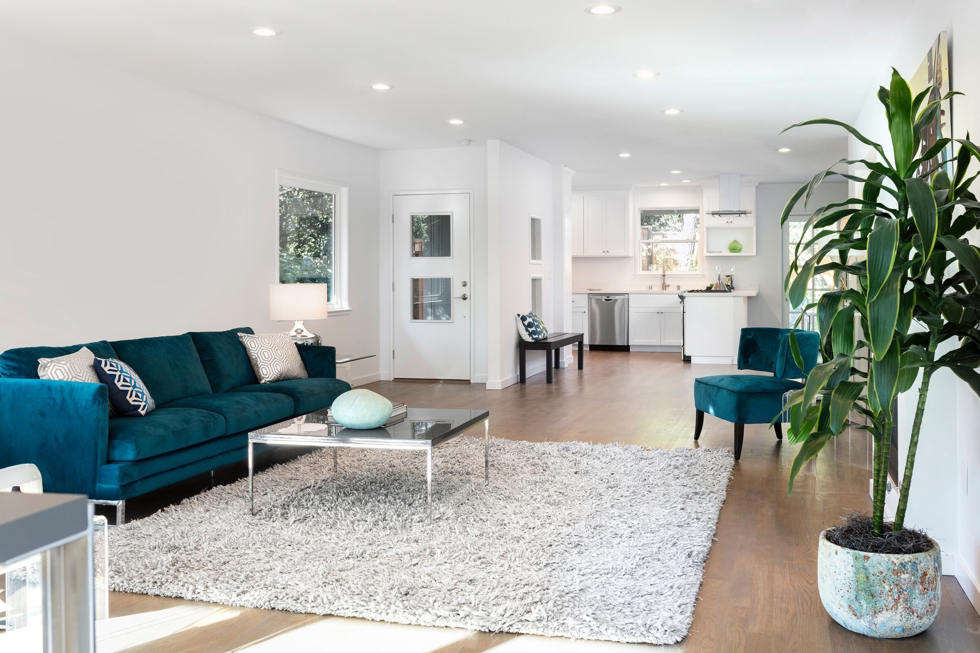 A bright, open-plan living room with a teal sofa, shaggy area rug, coffee table, and a large potted plant near a kitchen.