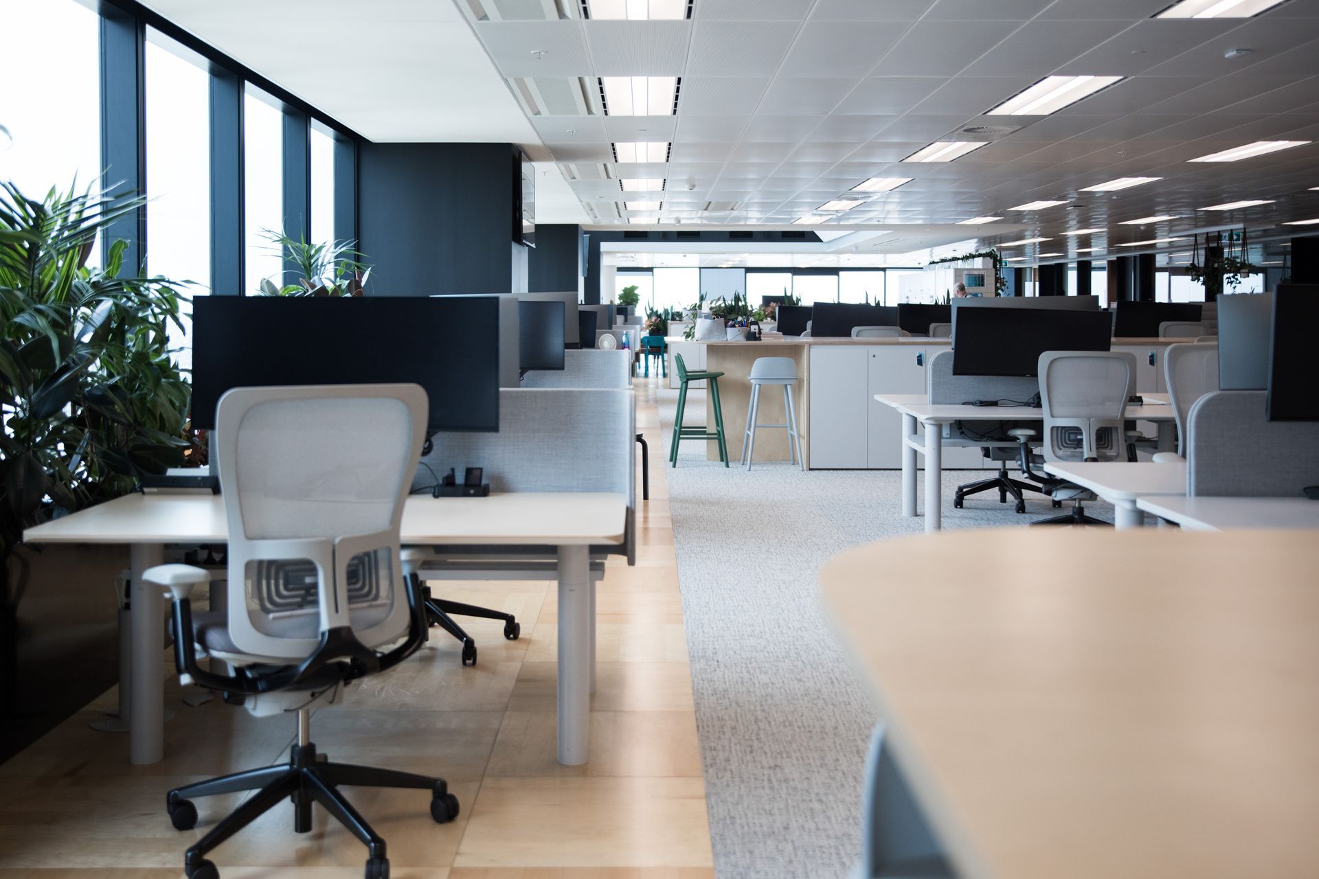 A modern, open-plan office with grey mesh chairs, white desks, and large windows, arranged in a row with a neutral floor.