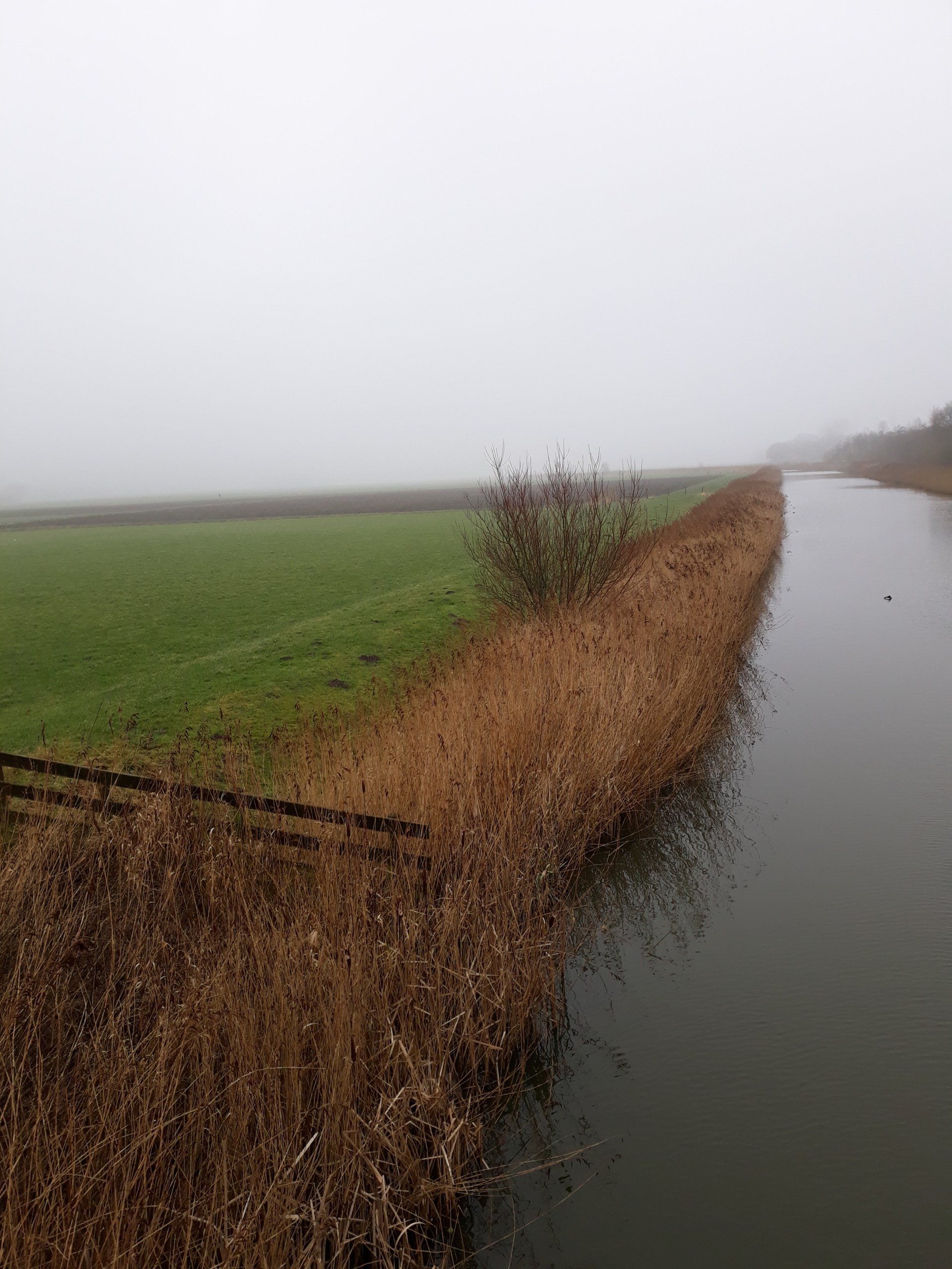 Mist in Friesland: de oorsprong van het woord mist