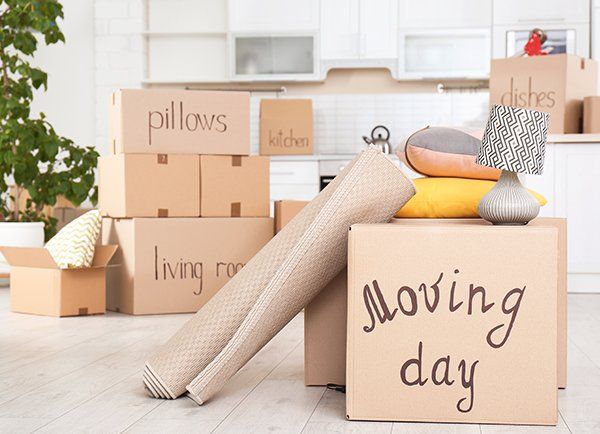 Moving Boxes and Household Stuff — JR Removals Mackay in Mackay, QLD