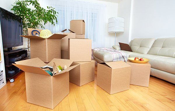 Moving Boxes in New House — JR Removals Mackay in Mackay, QLD Moving Boxes in New House — JR Removals Mackay in Mackay, QLD