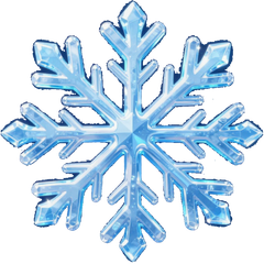 Blue snowflake icon with icy crystal details on a white background