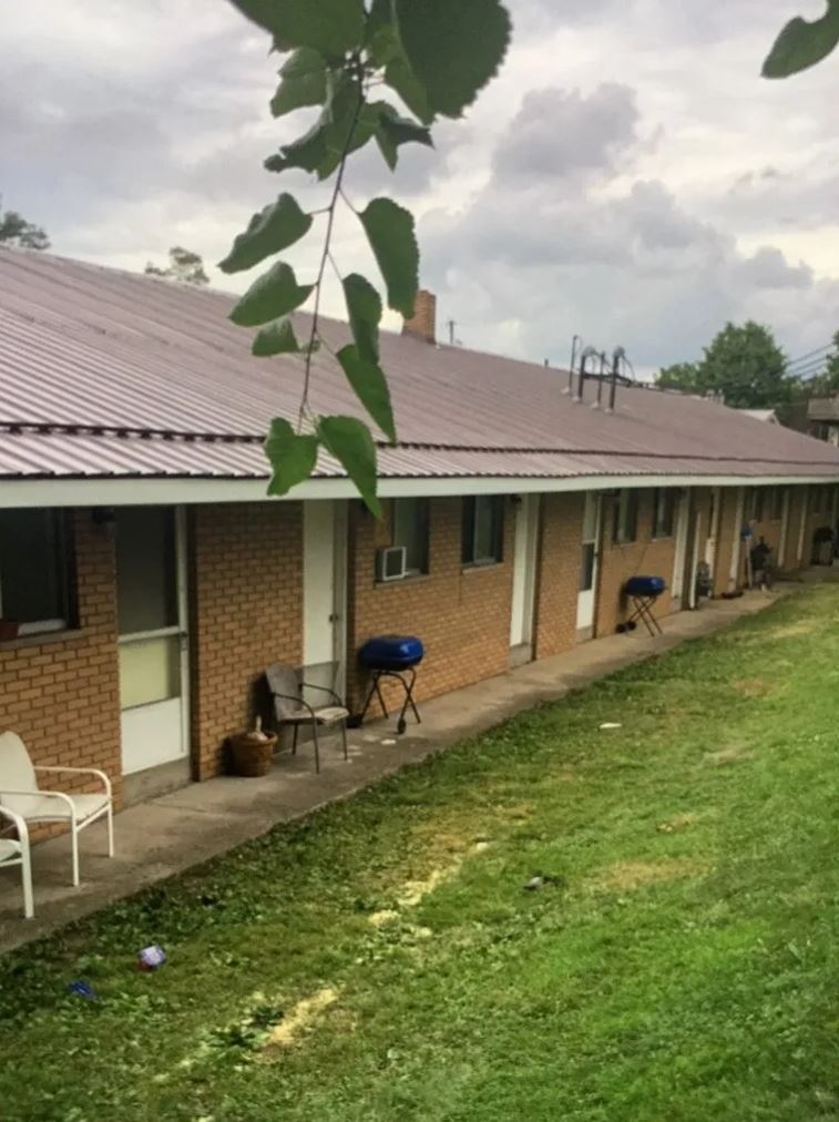 Row of brick apartments with a brown metal roof, green lawn, and grills; cloudy sky.