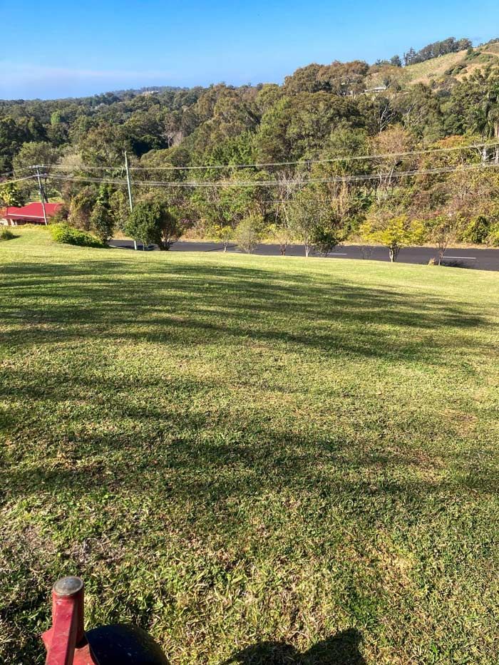 After Lawn Maintenance, A Pristine Garden Landscape — All Assist In Nana Glen NSW