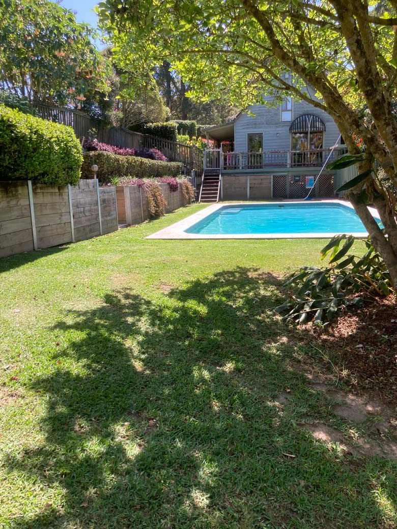 Lush Backyard Lawn Featuring A Relaxing Swimming Pool — All Assist In Bonville NSW
