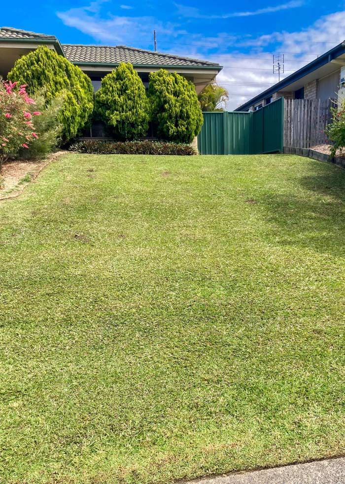 Gorgeous Garden Lawn Located Behind A Home — All Assist In Nana Glen NSW