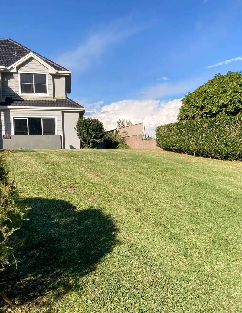 Gorgeous Residence Featuring Spacious Garden Landscaping — All Assist In Bonville NSW