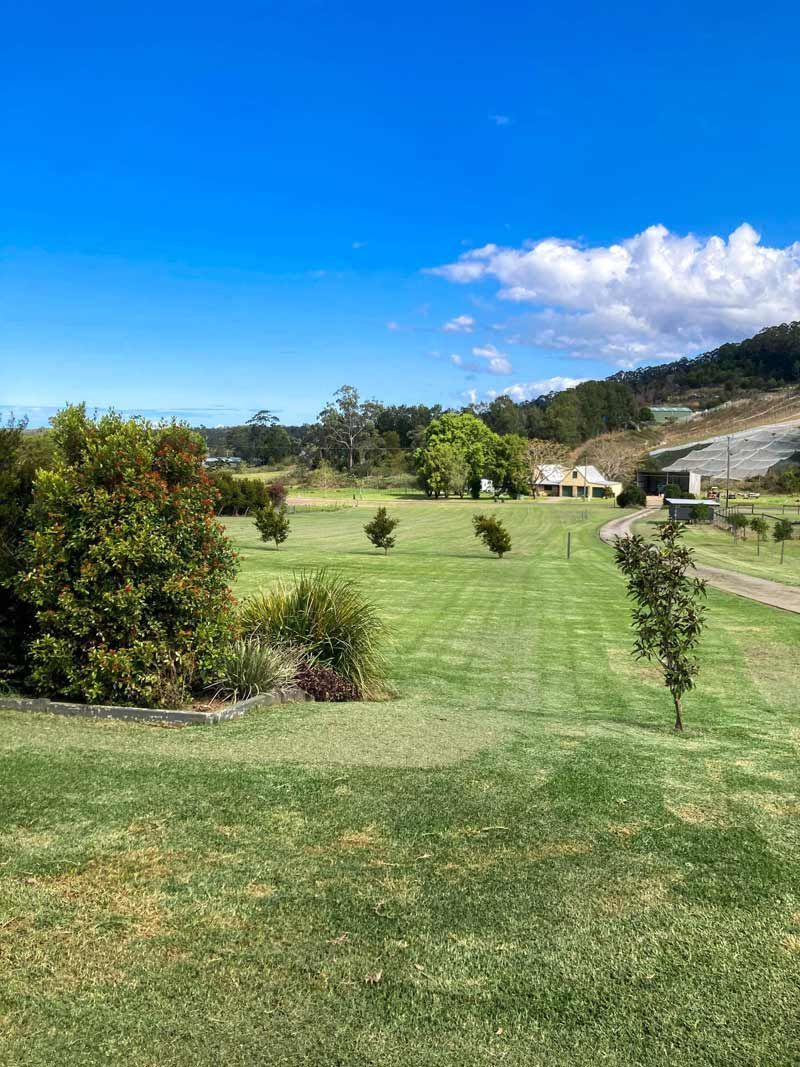 Spacious Lawn After Grass Cutting Landscape — All Assist In Bonville NSW