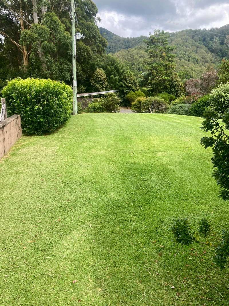 Picturesque Lawn Area With Verdant Trees In A Serene Landscape — All Assist In Nana Glen NSW