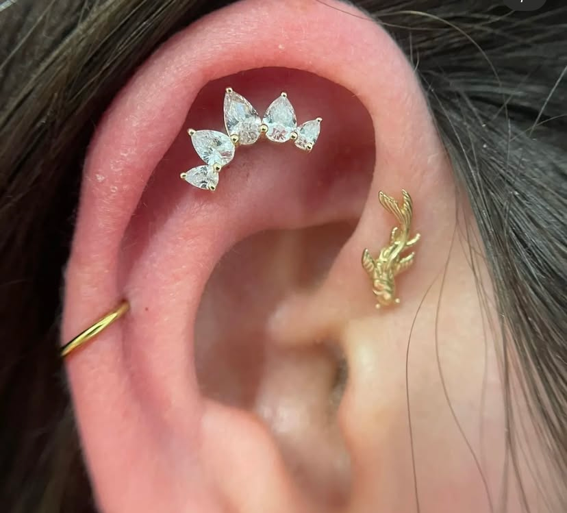 ear piercings