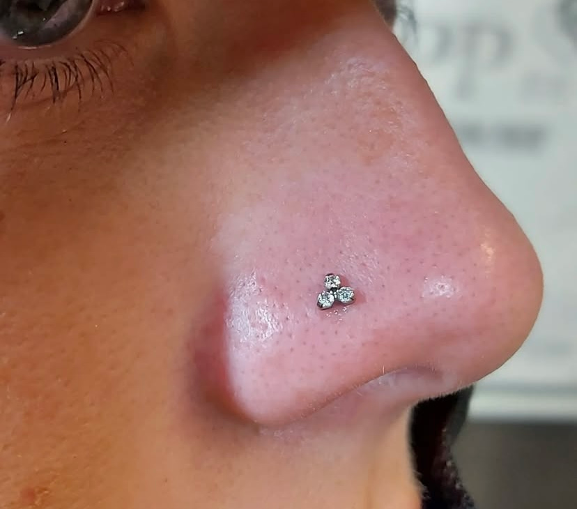 nose stud