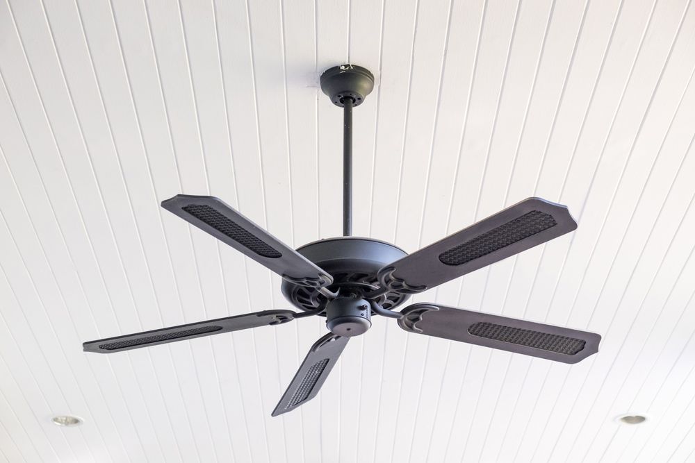 A Black Ceiling Fan is Hanging From the Ceiling of a Room — Brite-Lec Pty Ltd in Currajong, QLD