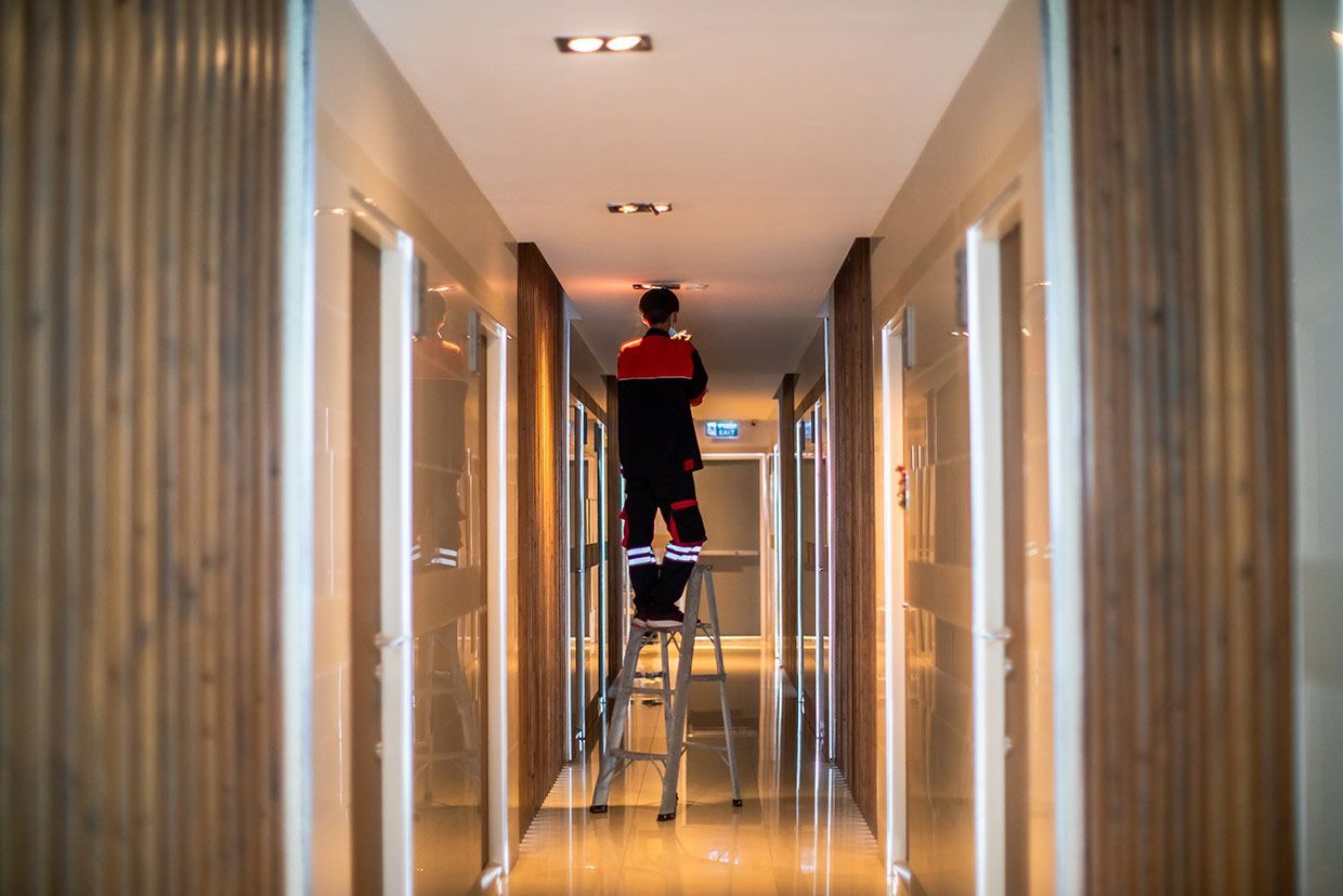 A Man is Standing on a Ladder in a Hallway — Brite-Lec Pty Ltd in Currajong, QLD