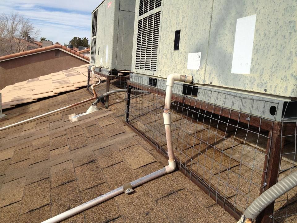 Pigeon Cleanup Long Eave – Before and After