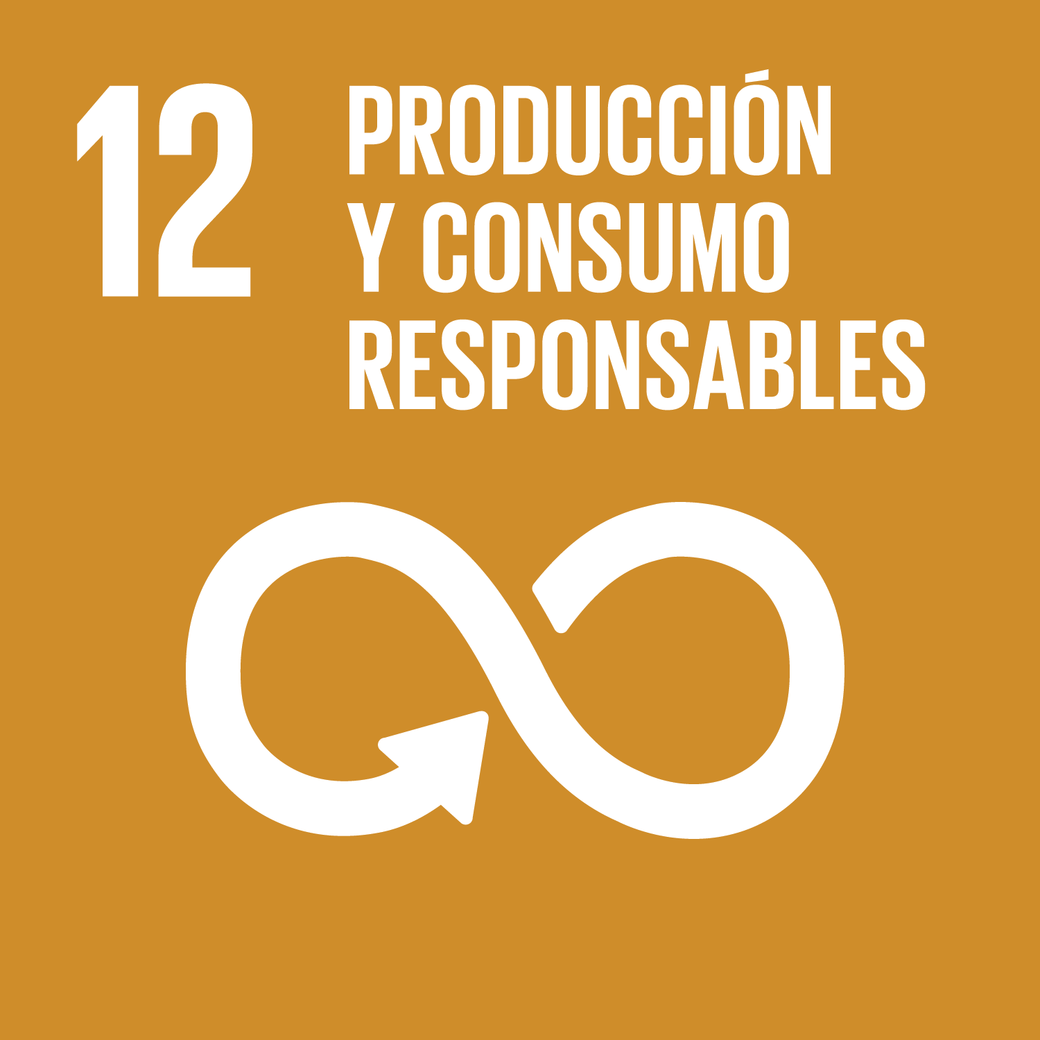 ODS de la Agenda 2030 Producción y Consumo Responsables