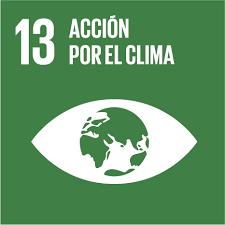 ODS de la Agenda 2030 Acción por el Clima