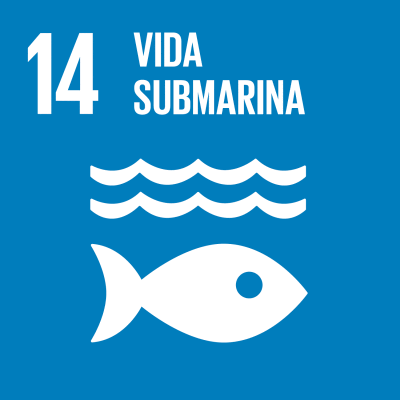 ODS Agenda 2030 Vida Submarina
