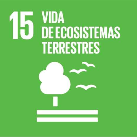 ODS de la Agenda 2030 Vida de Ecosistemas Terrestres