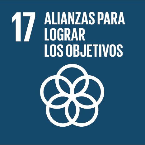 ODS de la Agenda 2030 Alianzas para lograr los Objetivos