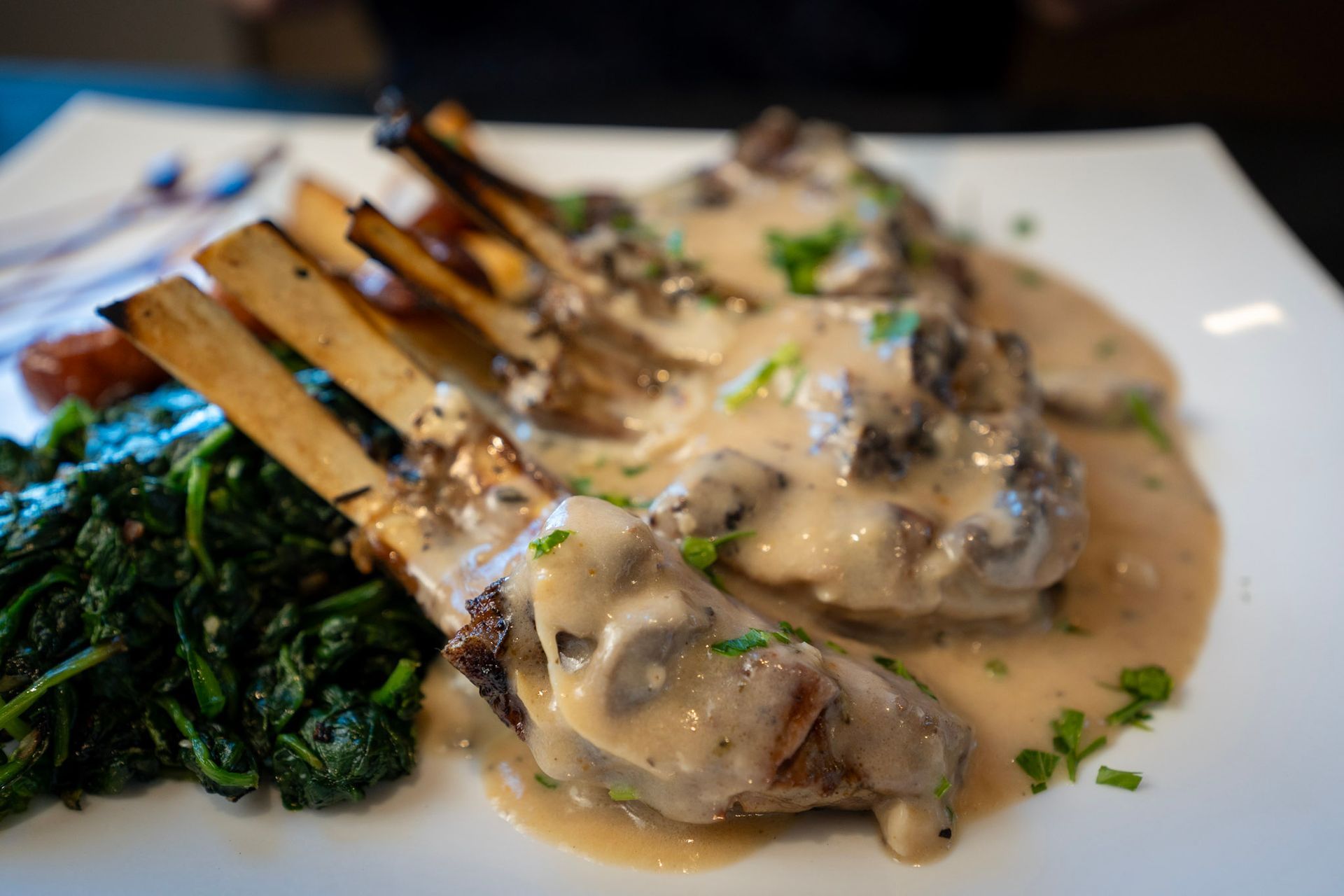 Avanzare Italian Dining Springfield, MO