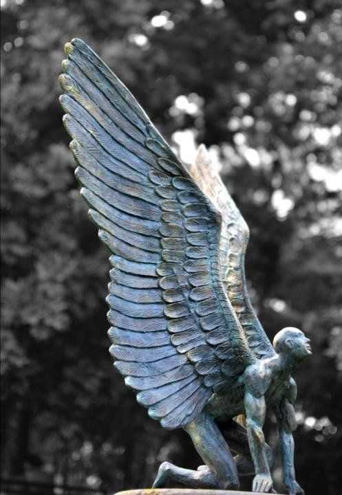 Flight of Imagination right side view