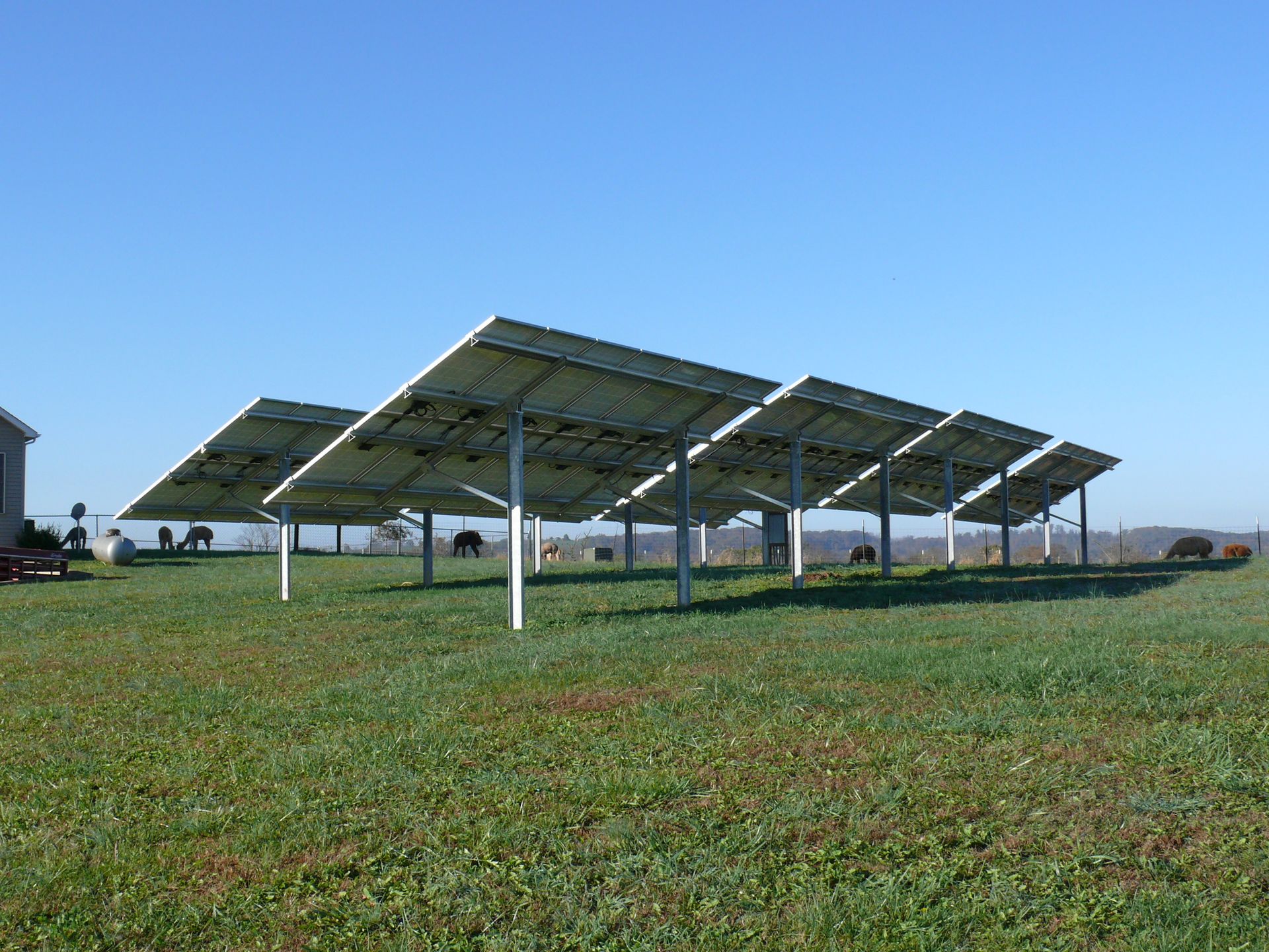 A row of solar panels are sitting in a grassy field.