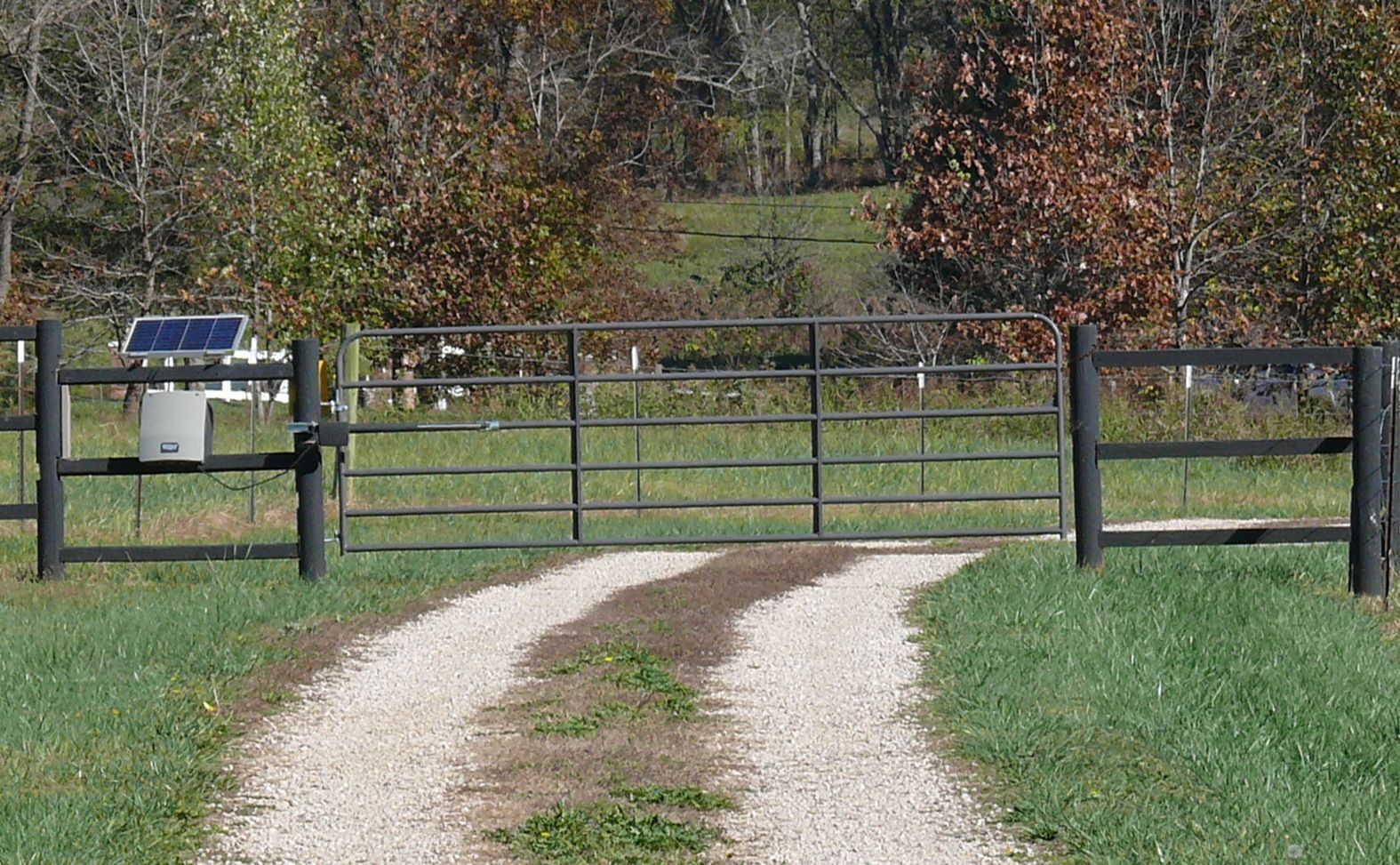 A dirt road going through a grassy field with a fence and a gate.