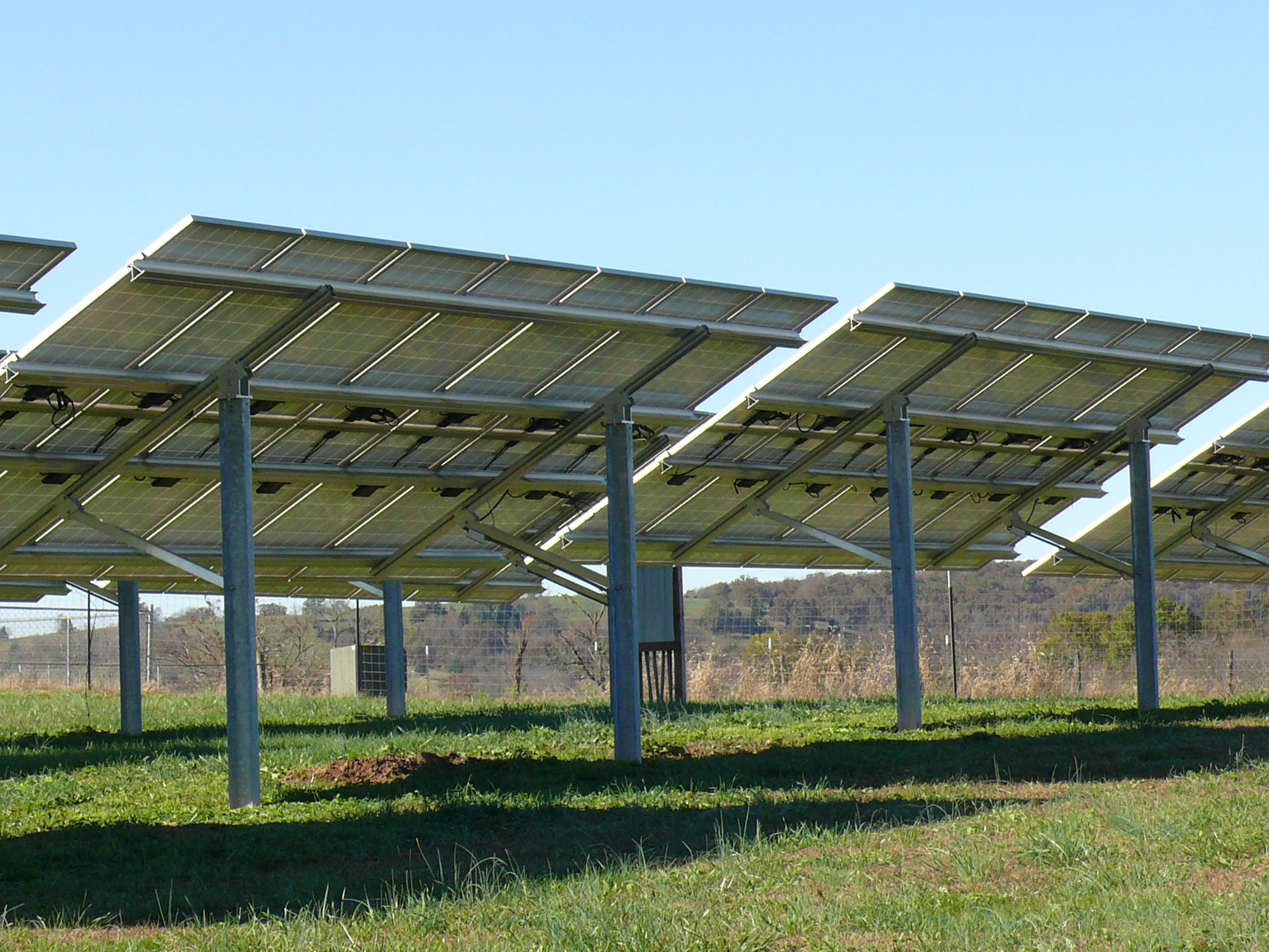 A row of solar panels in a grassy field
