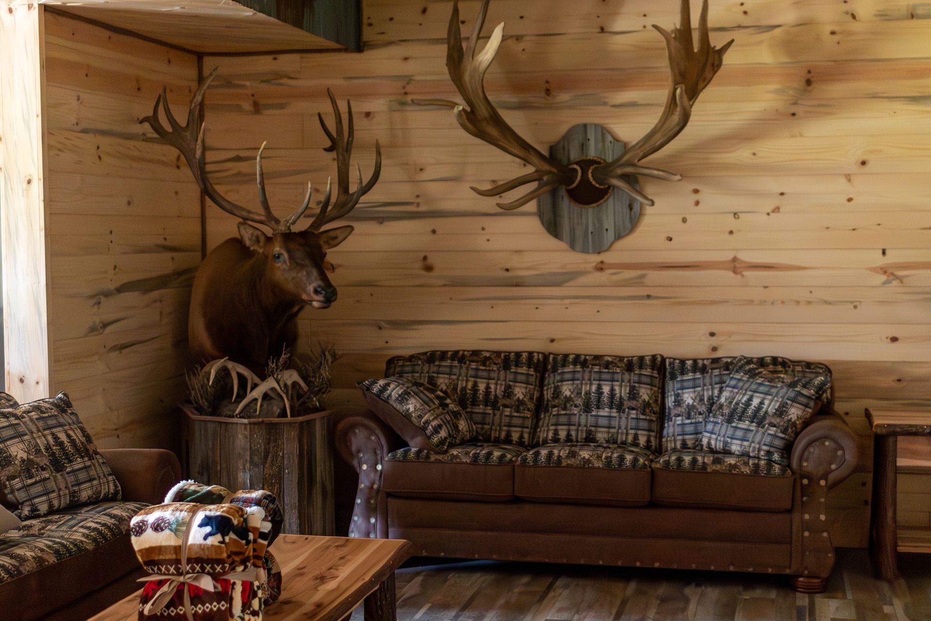 A living room with a couch and two deer antlers on the wall.