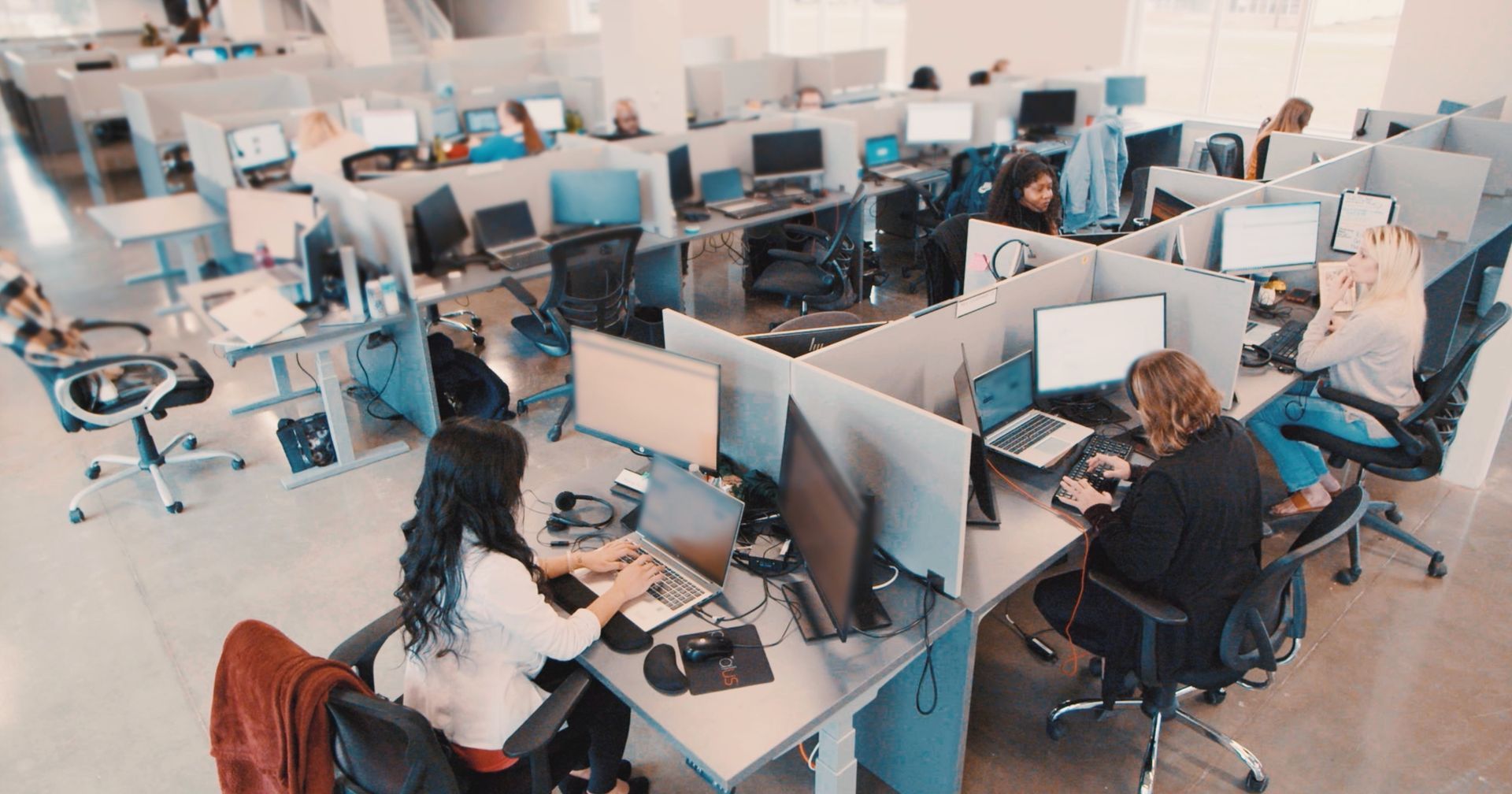 Provalus | Customer Experience Analyst