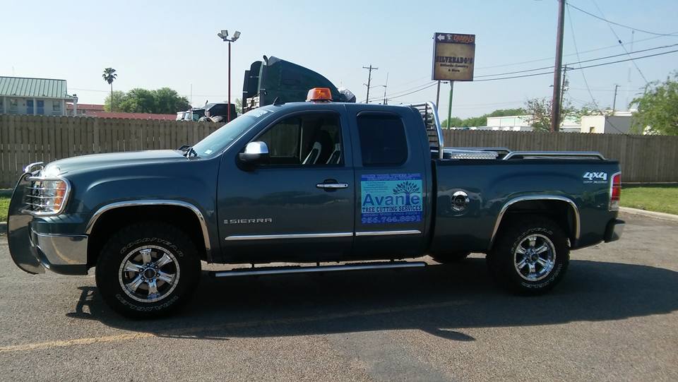 Tree Services Laredo, TX