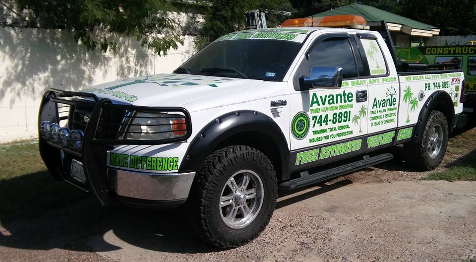 Tree Services Laredo, TX