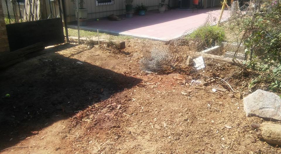 Tree Services Laredo, TX