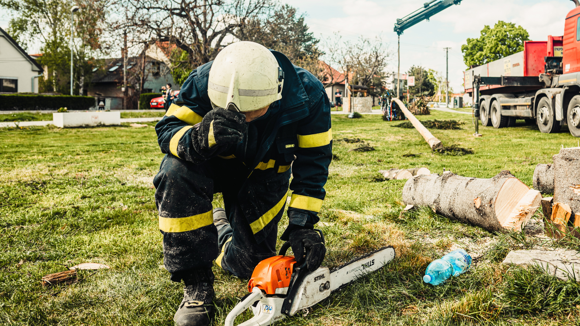 Arborist kneeling on grass using a chainsaw to cut a log.