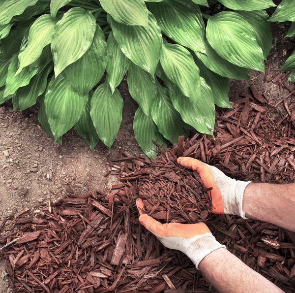 Mulch — Decatur, AL — Valley Feed & Landscaping Supply