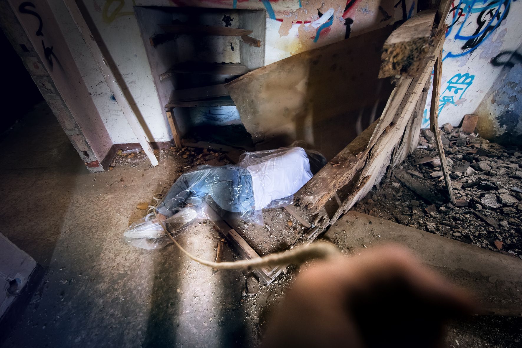 Alma Studi Angelita Bonetti