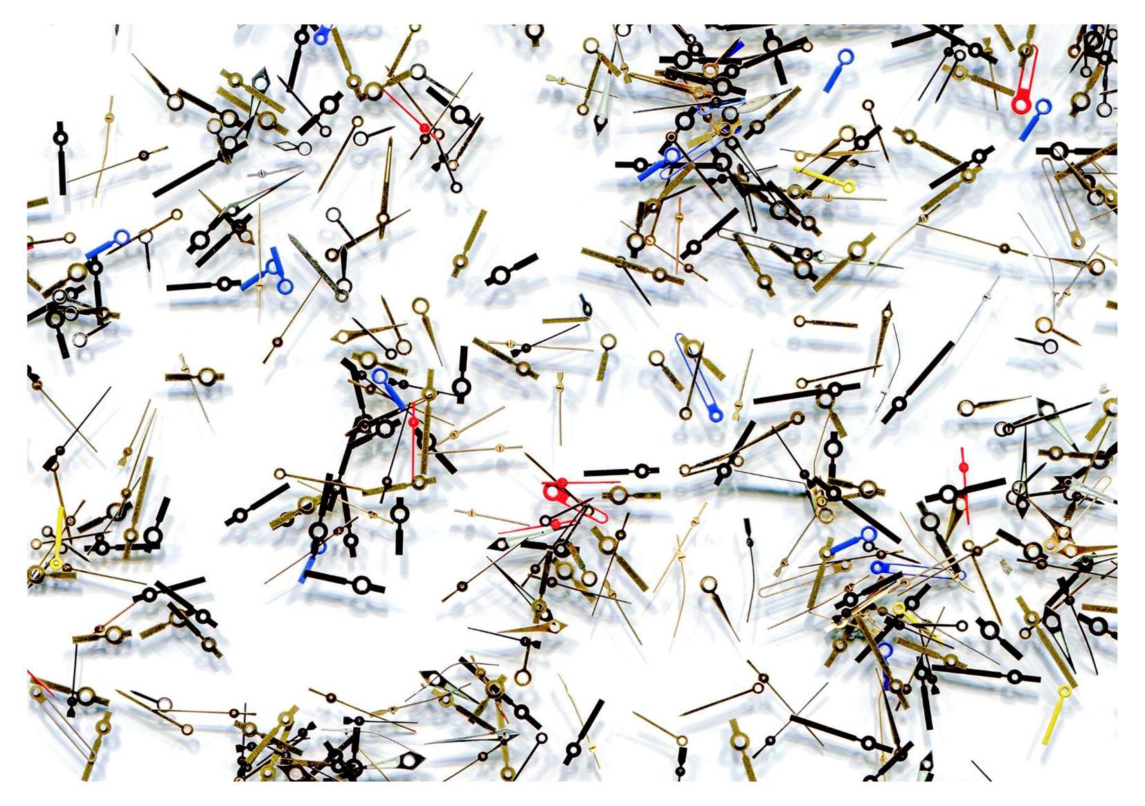 Alma Studi Angelita Bonetti